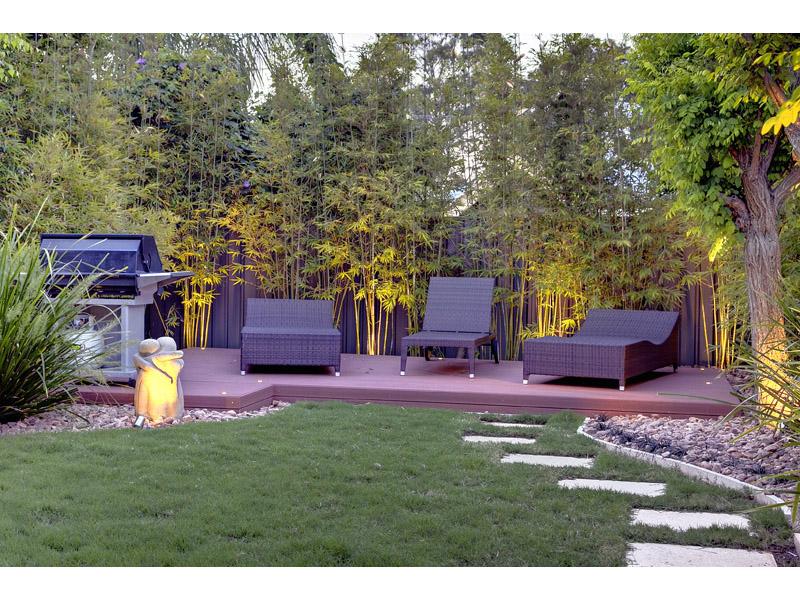 Backyard Designs