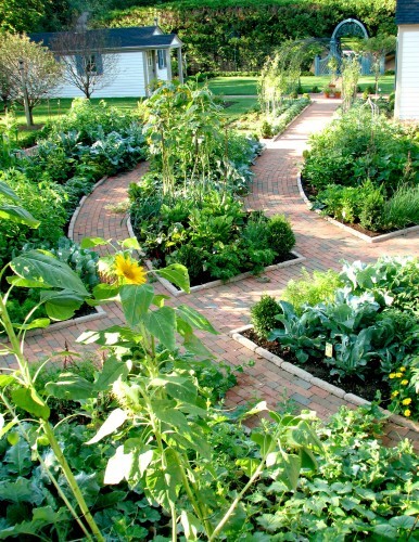 Raised Vegetable Garden Design Ideas