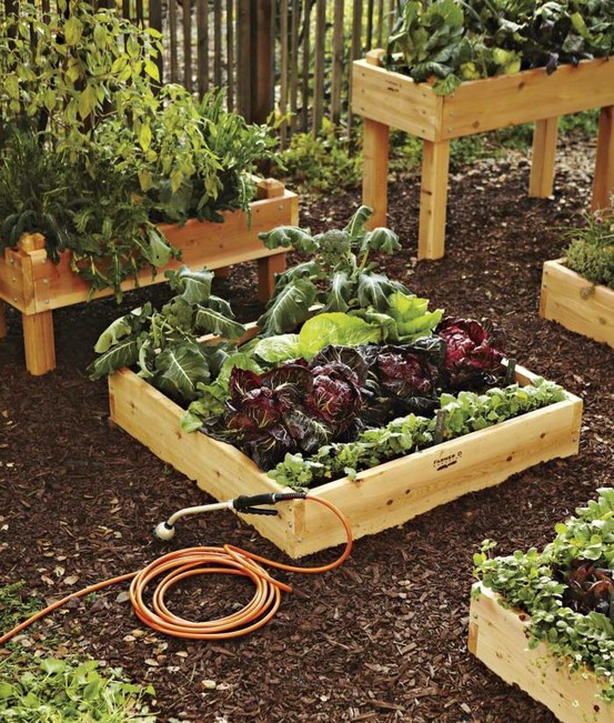 Bed Raised Backyard Vegetable Garden